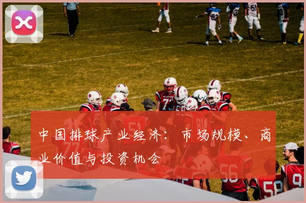 中国排球产业经济:市场规模、商业价值与投资机会