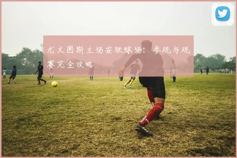 尤文图斯主场安联球场:参观与观赛完全攻略
