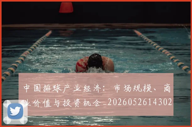 中国排球产业经济：市场规模、商业价值与投资机会_20260526143026