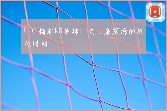 UFC 精彩KO集锦：史上最震撼的终结时刻
