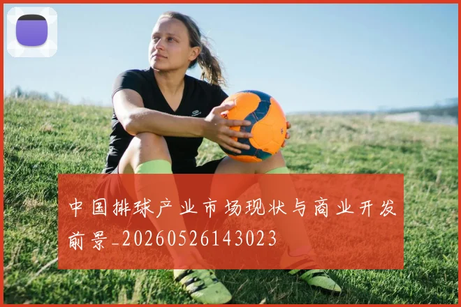 中国排球产业市场现状与商业开发前景_20260526143023
