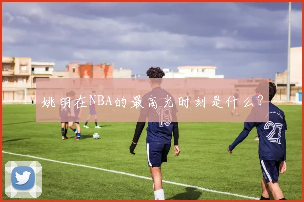 姚明在NBA的最高光时刻是什么?