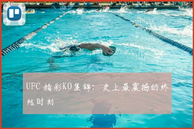 UFC 精彩KO集锦：史上最震撼的终结时刻